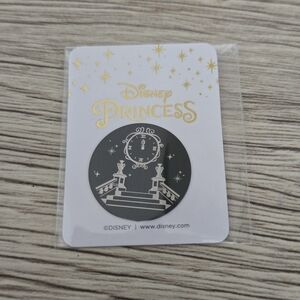 🦉Cinderella Locket Plate